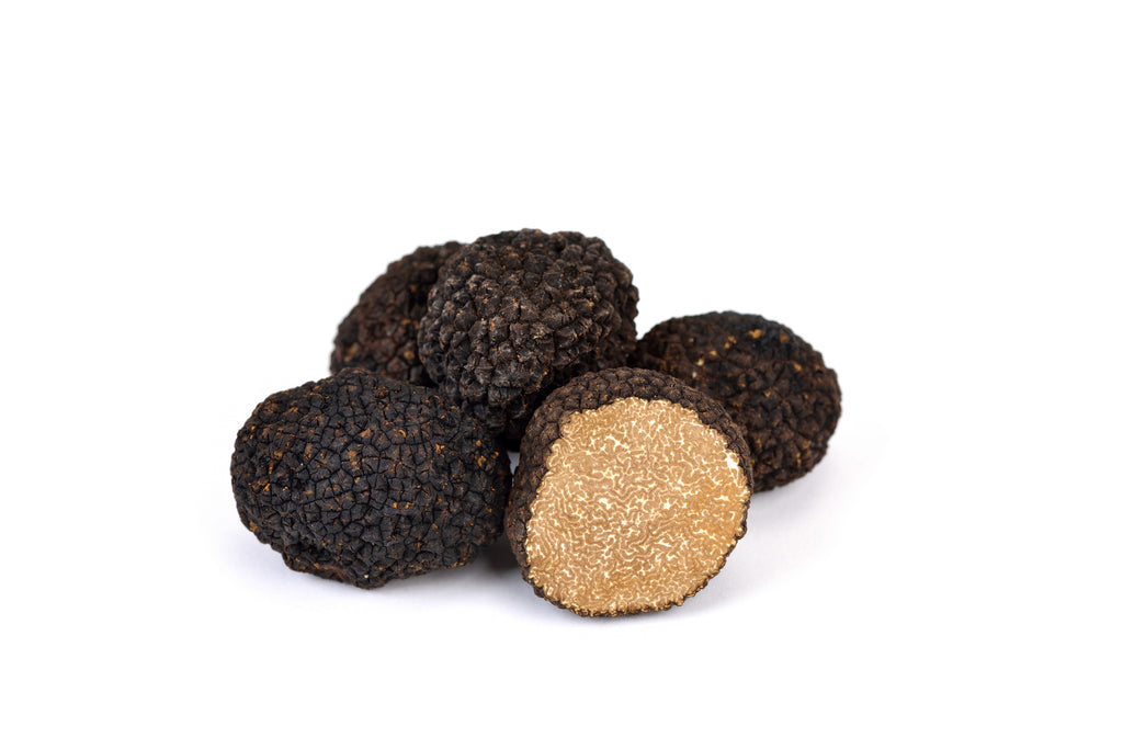 Schwarzer Sommertrüffel Tuber Aestivum Vitt. klein